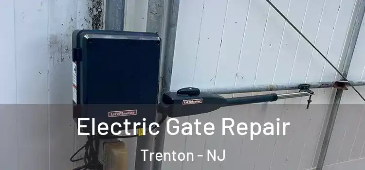 Electric Gate Repair Trenton - NJ