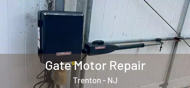 Gate Motor Repair Trenton - NJ